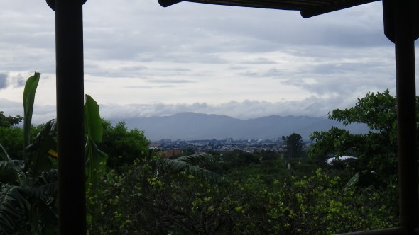 View from the coffee plantation