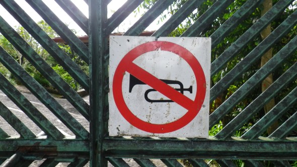 Absolutely no trumpeting