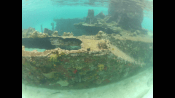 Boat Wreck