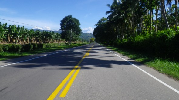 Bananas on the left, and Palm trees on the right