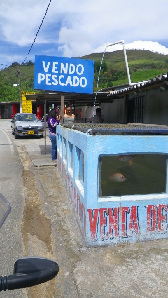 Fresh from the roadside tank