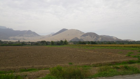 And the desert begins