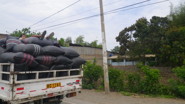 Dude taking a nap up top