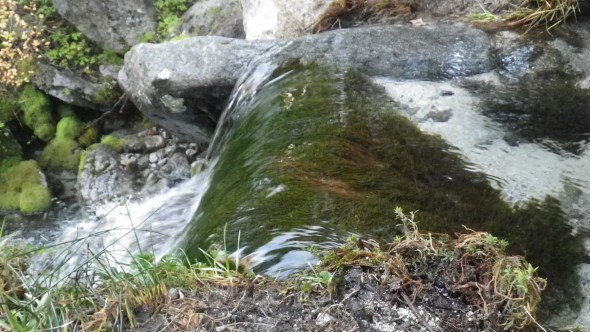 Nothing but pure glacial water to drink